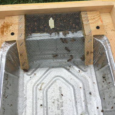 8 Frame Hive top feeder